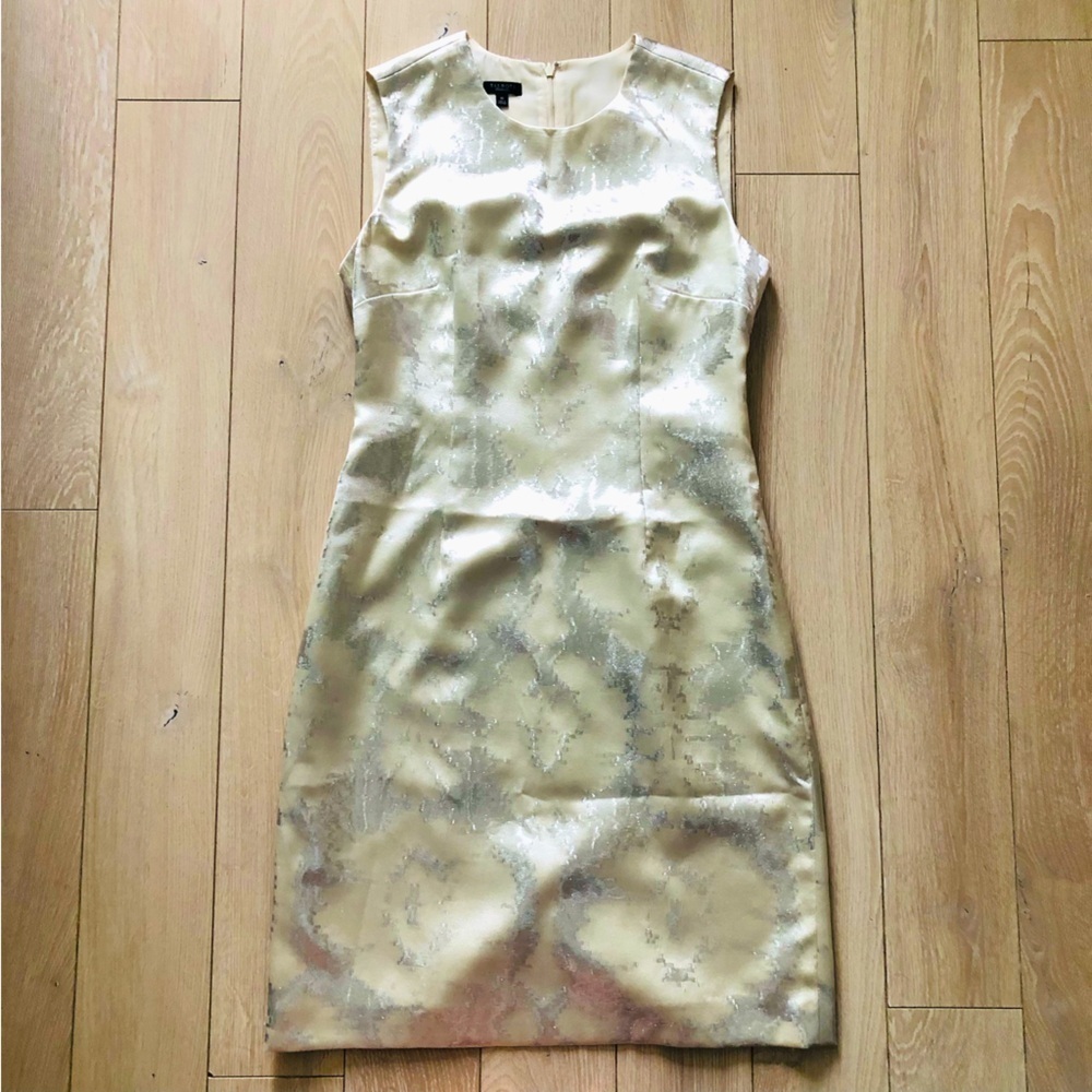 Talbots Silk Blend Metallic Detailed Dress in Cream & Silver Size 10